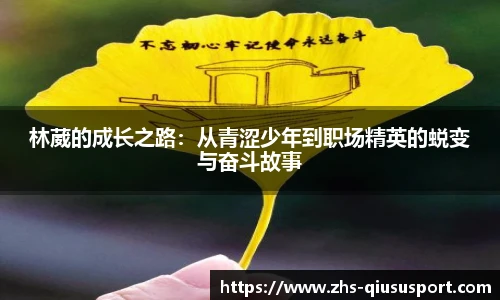 林葳的成长之路:从青涩少年到职场精英的蜕变与奋斗故事